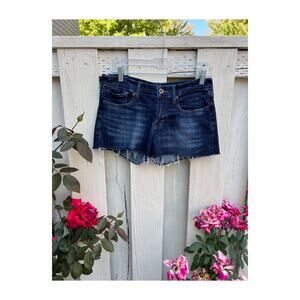 LUCKY BRAND The Cut Off Dark Wash Denim Shorts Size 2/26